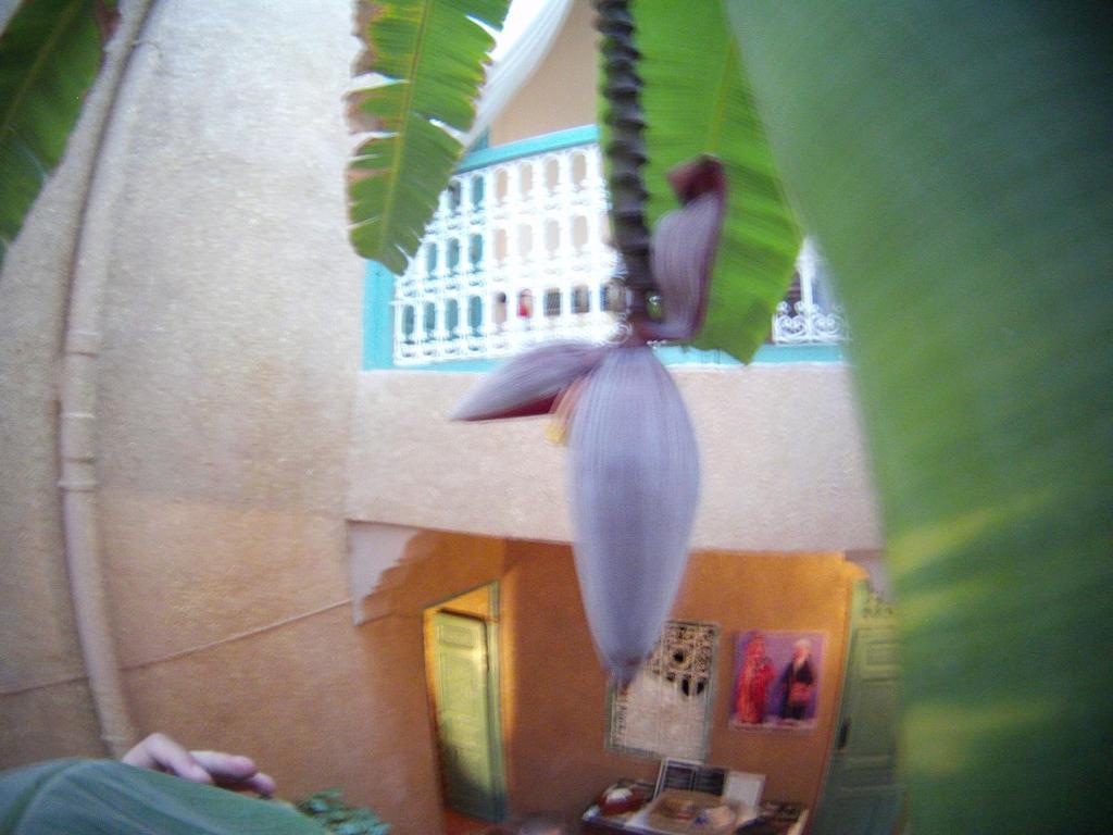 ホテル リヤド ダール ムチチャ マラケシュ エクステリア 写真